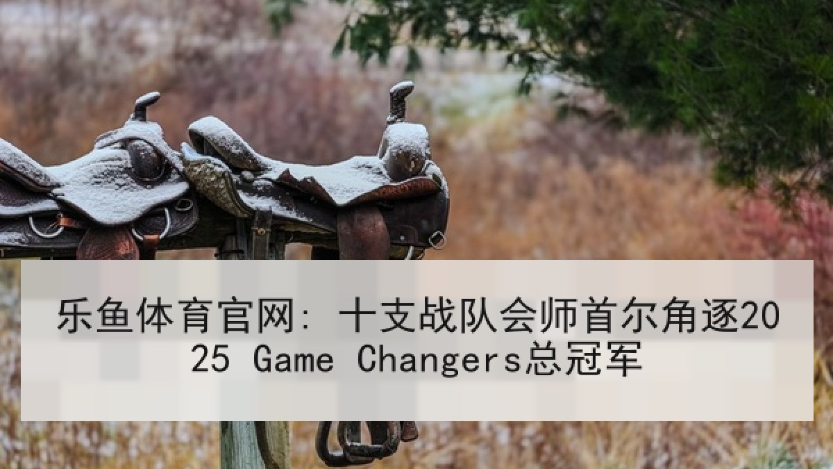 乐鱼体育官网: 十支战队会师首尔角逐2025 Game Changers总冠军