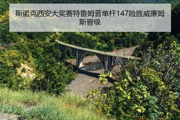 si-nuo-ke-xi-an-da-jiang-sai-te-lu-mu-pu-dan-gan-xian-sheng-wei-lian-mu-si-jin-ji-2-345.jpg