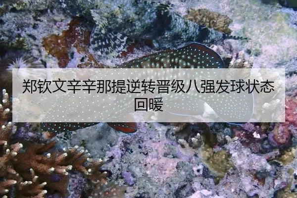 zheng-qin-wen-xin-xin-na-ti-ni-zhuan-jin-ji-ba-qiang-fa-qiu-zhuang-tai-hui-nuan-3-913.jpg