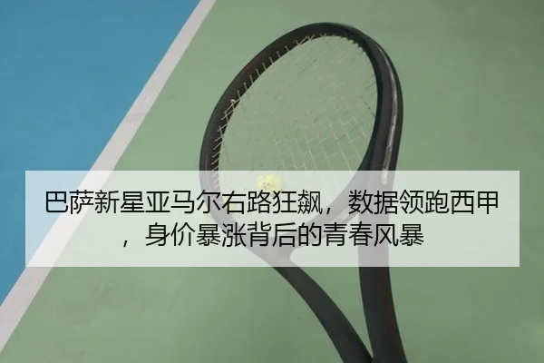 ba-sa-xin-xing-ya-ma-er-you-lu-kuang-biao-shu-ju-ling-pao-xi-jia-shen-jia-bao-zhang-bei-hou-de-qing-chun-feng-bao-3-991.jpg